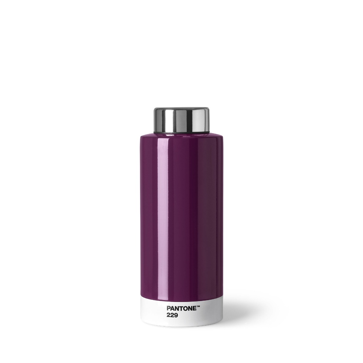 PANTONE Pantone Thermo Drinking Bottle - Aubergine