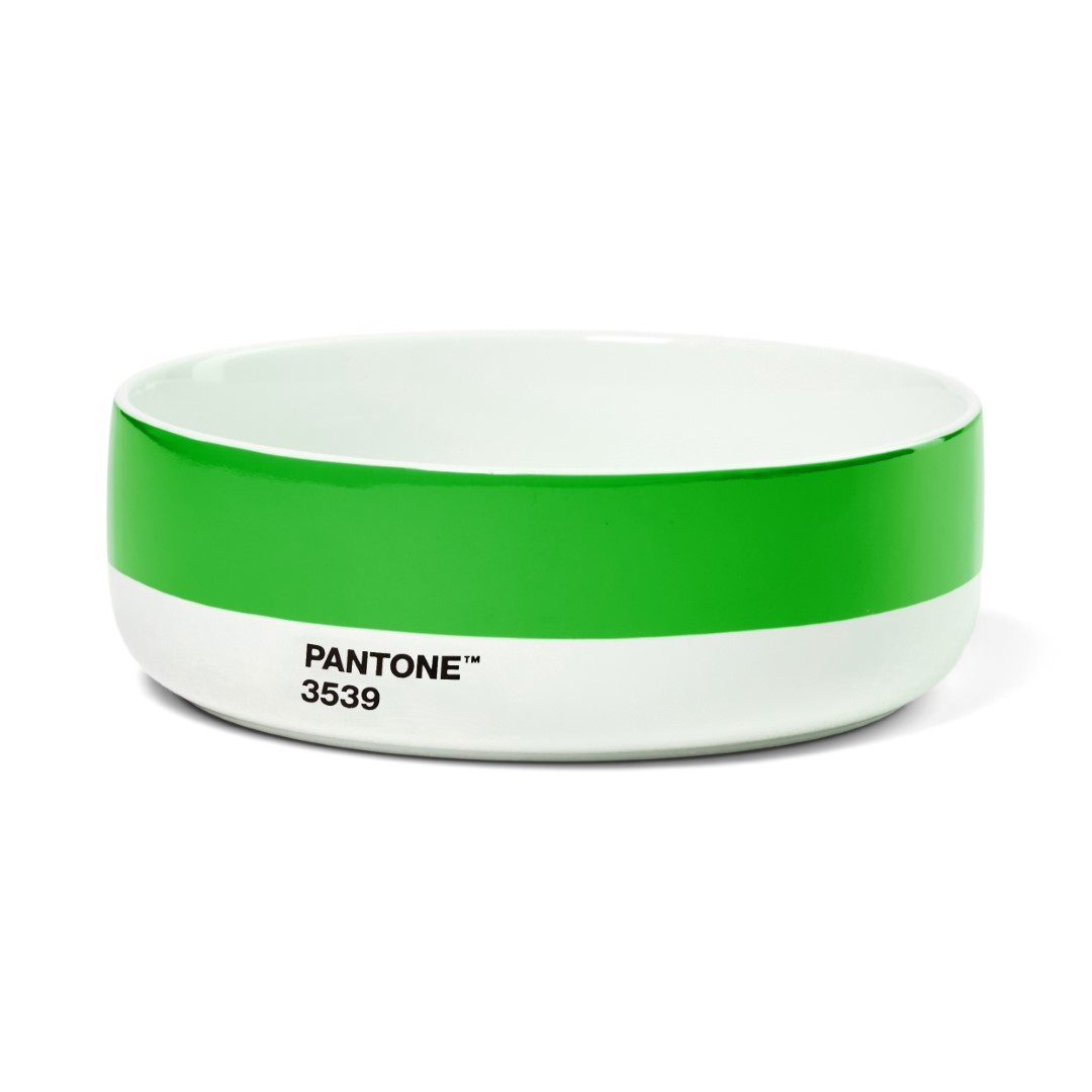 PANTONE Pantone Bowl - Green